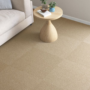 シンコール | PIN583 | スクエアプロ2025-2028