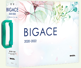 bigace_2020_2022