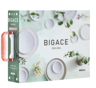 bigace2022-2024