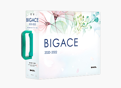 bigace20-22
